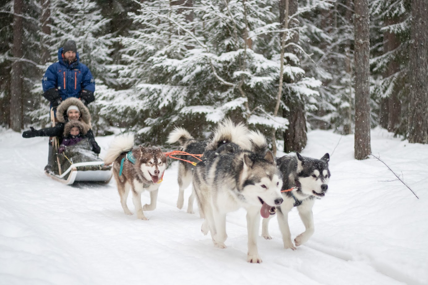 Small Lapland